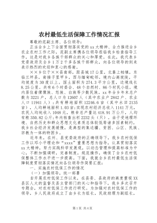 农村最低生活保障工作情况汇报
