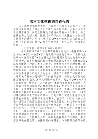 农村文化建设的自查报告