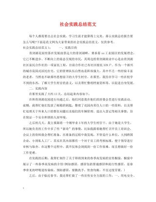 社会实践总结范文 