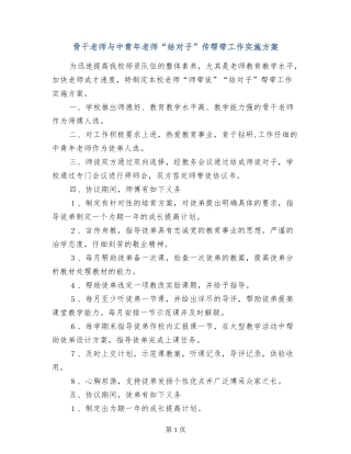 骨干教师与中青年教师“结对子”传帮带工作实施方案