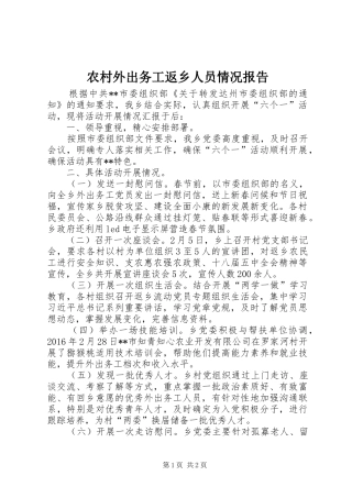 农村外出务工返乡人员情况报告