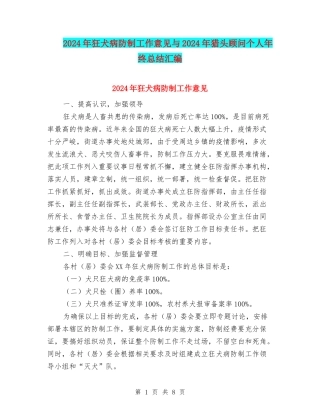 2024年狂犬病防制工作意见与2024年猎头顾问个人年终总结汇编
