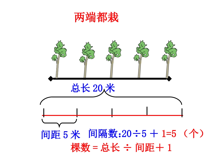 课题植树问题（A案）_第3页