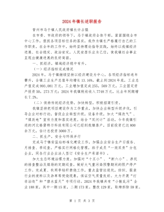 2024年镇长述职报告