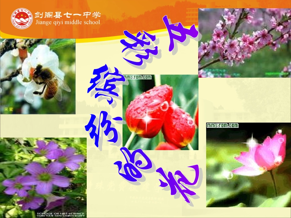 被子植物与裸子植物的区别_第3页