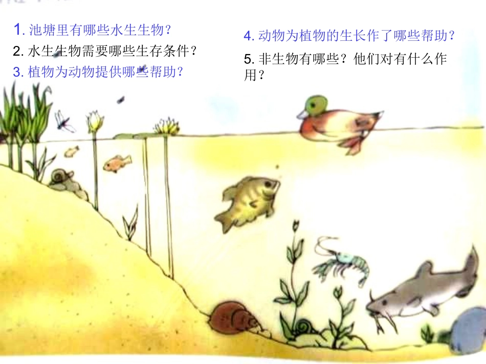 做一个生态瓶_第2页