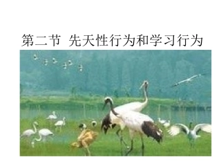 第二节《先天性行为和学习行为》