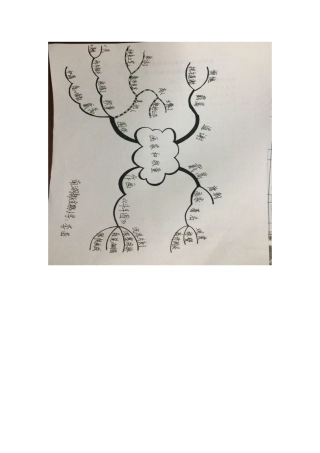 二班七组思维导图李苗