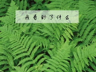 我看到了什么PPT新教科版三年级上册科学