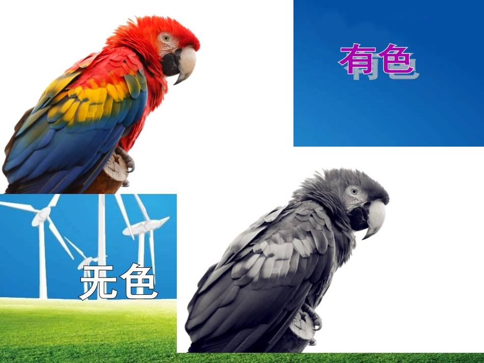 演示文稿1色彩的魅力_第2页