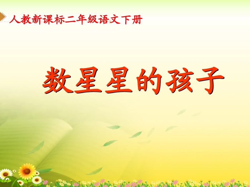 数星星的孩子教学课件(1)_第3页