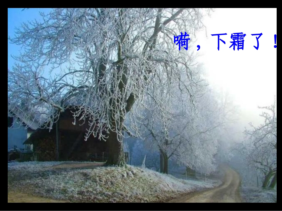 语文A版五年级傲霜篇课件_第2页