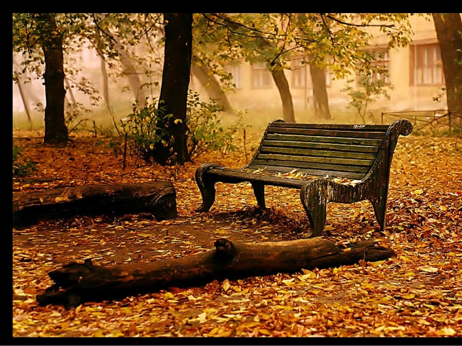 语文A版五年级傲霜篇课件_第3页