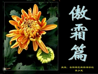 语文A版五年级傲霜篇课件