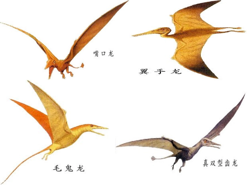 飞向蓝天的恐龙_第2页