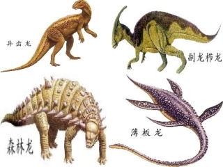 飞向蓝天的恐龙