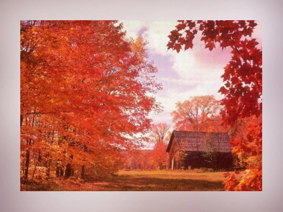 短文二篇0-5340_第3页