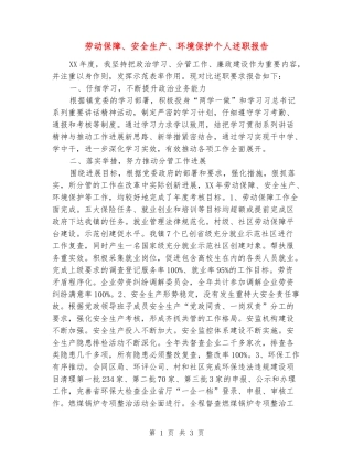 劳动保障、安全生产、环境保护个人述职报告