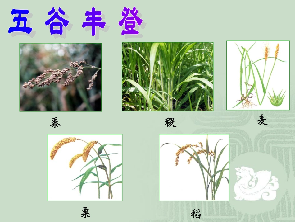 高中历史必修二11古代中国的农业经济_第2页