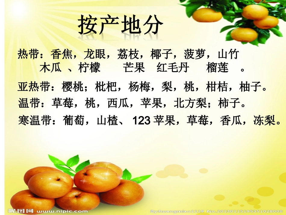 水果的分类课件_第2页