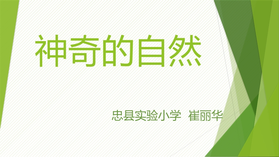 神奇的自然课件_第1页