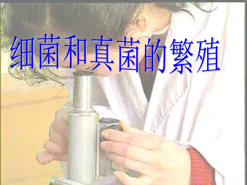 第6节细菌和真菌的繁殖_第1页