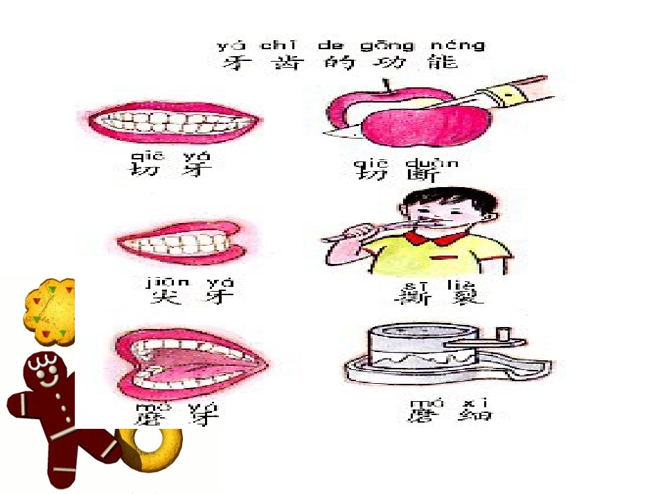 儿童口腔保健PPT_第3页