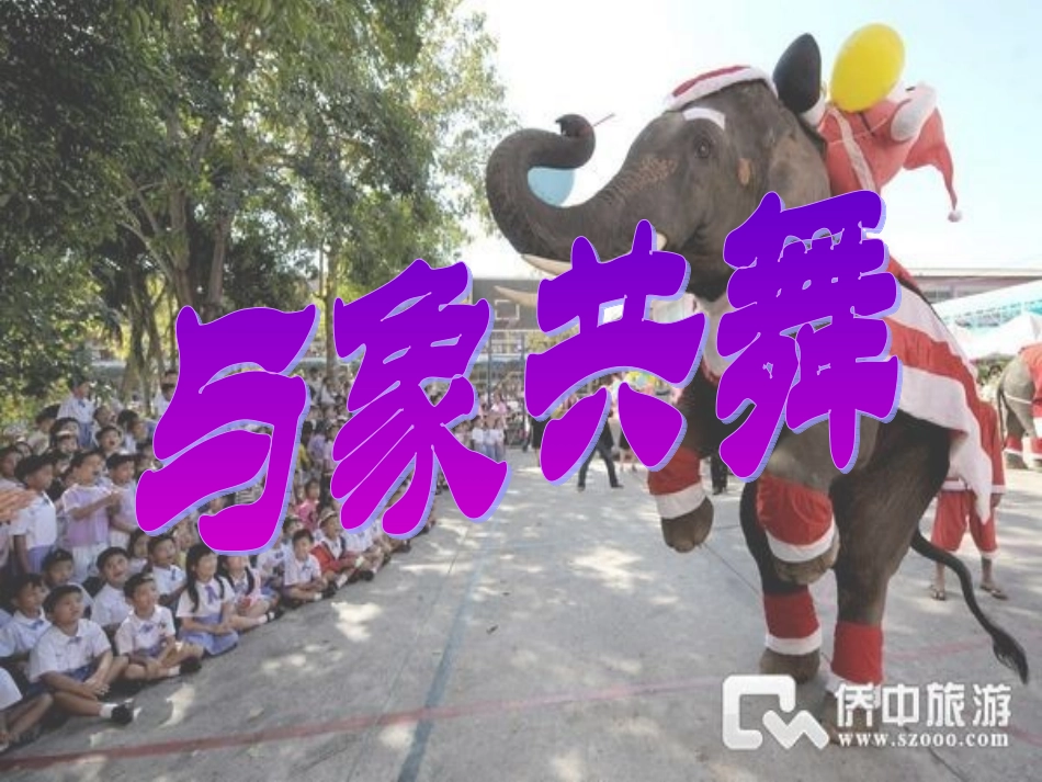 与象共舞课件_第2页
