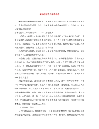 森林消防个人年终总结 
