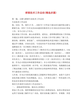 桥梁技术工作总结(精选多篇) 