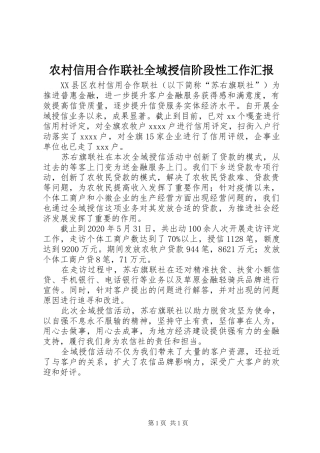 农村信用合作联社全域授信阶段性工作汇报