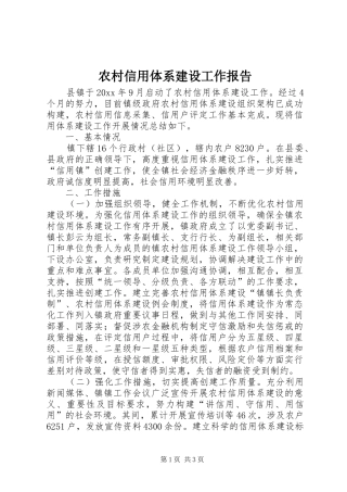 农村信用体系建设工作报告