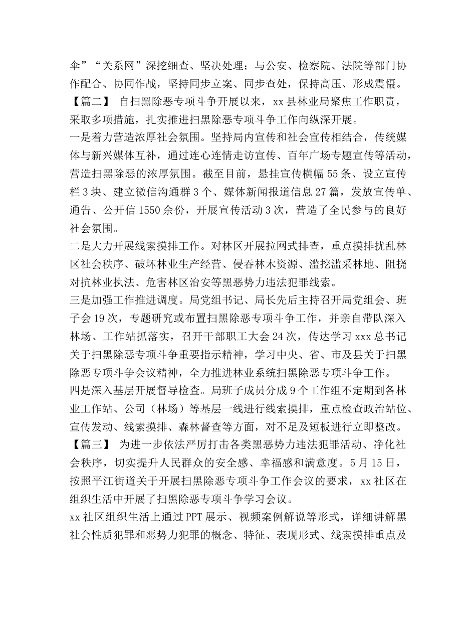 扫黑除恶专项斗争工作总结5篇汇编_ _第2页
