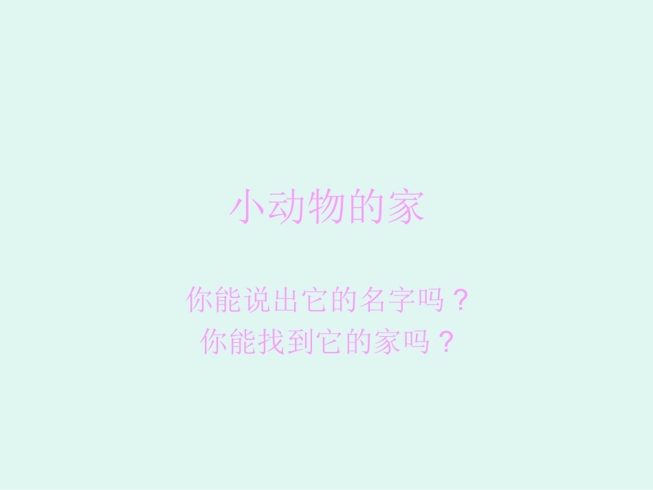 小动物的家课件_第1页