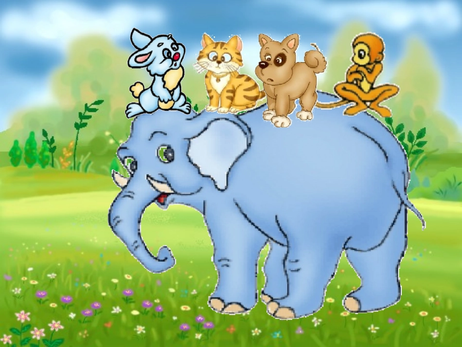 小动物的家课件_第2页