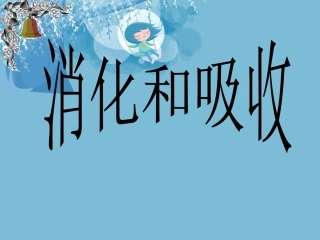 《消化和吸收》课件311