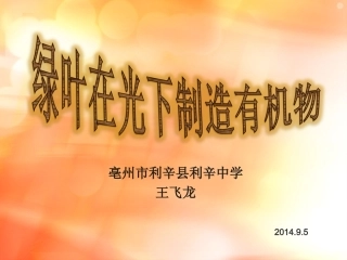 实验教学说课PPT