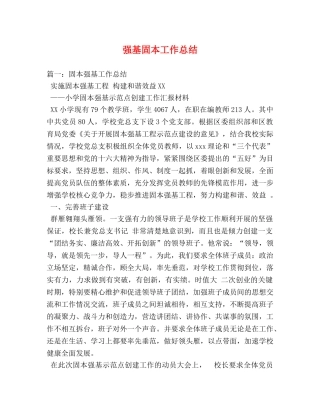 强基固本工作总结 