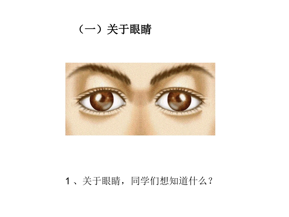 眼睛和眼镜PPT_第2页