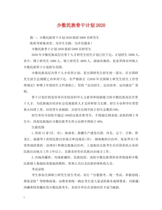 少数民族骨干计划2020 
