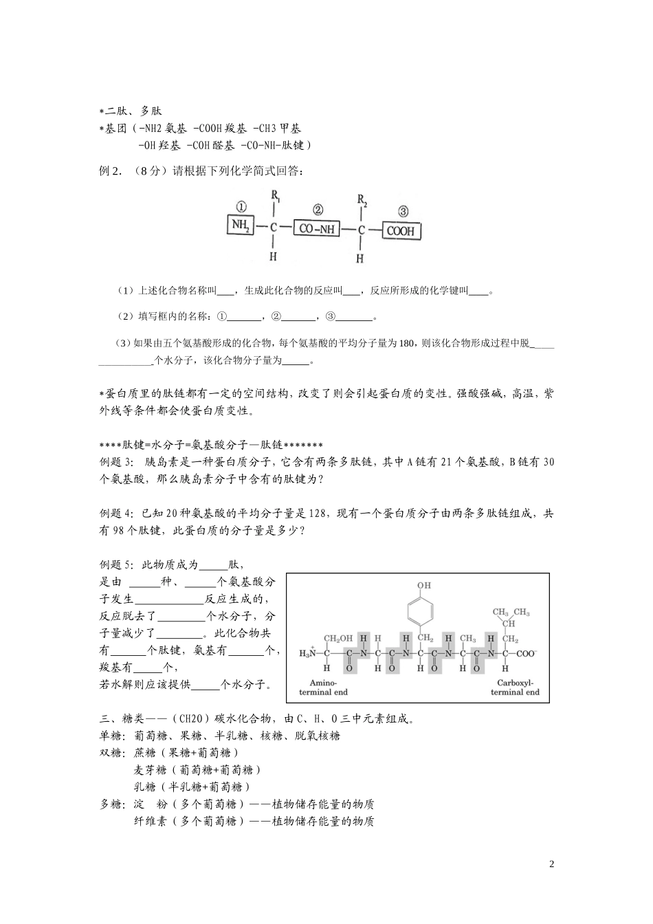 高中生物知识必修一复习提纲（第二章）_第2页