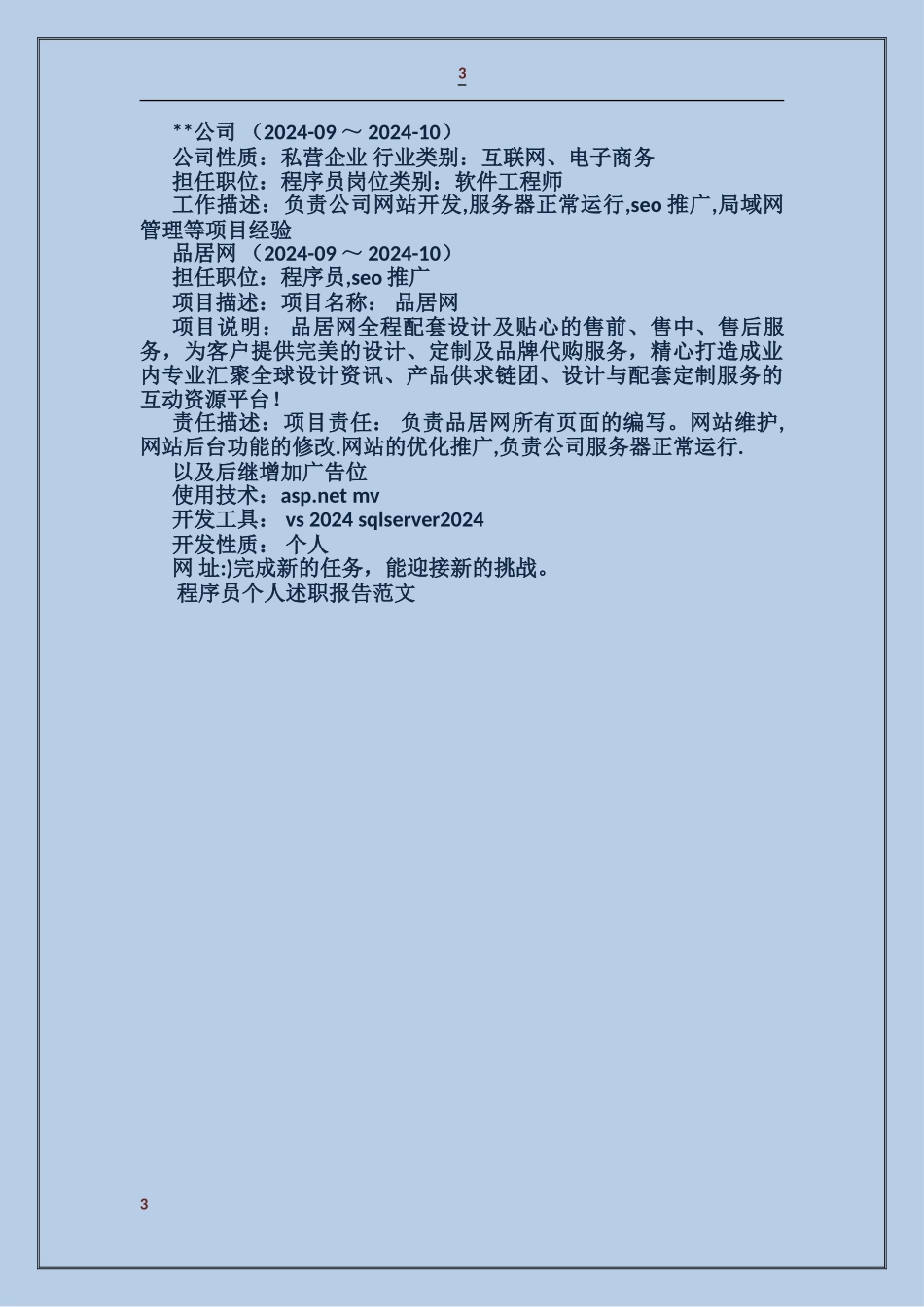 程序员个人述职报告_第3页