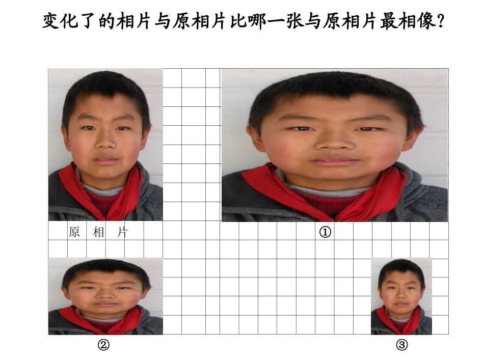 图形的放大与缩小 (2)_第2页