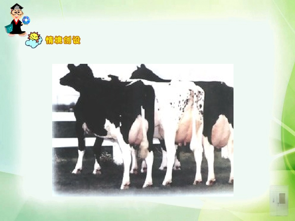 小数除法课件_第2页