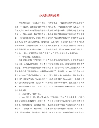 少先队活动总结2 