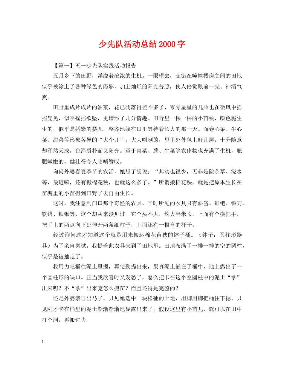 少先队活动总结2000字 _第1页