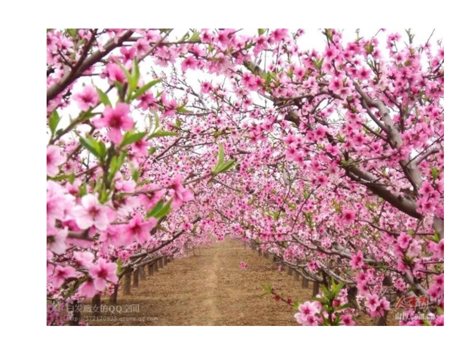 一年级语文下册识字1_第2页