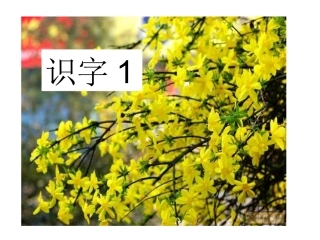 一年级语文下册识字1