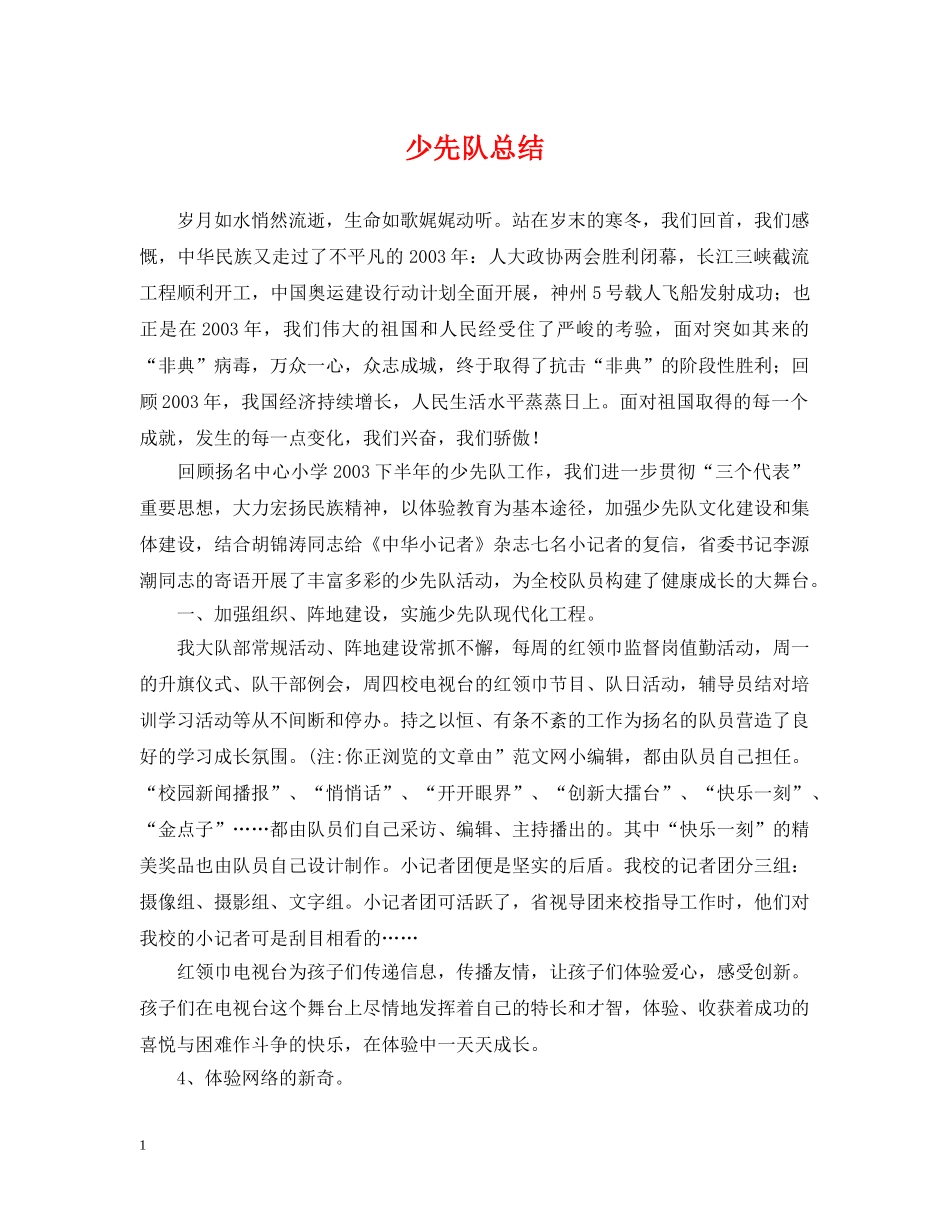 少先队总结 _第1页