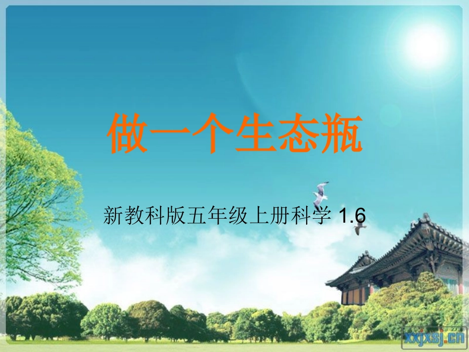 做一个生态瓶PPT五上_第1页